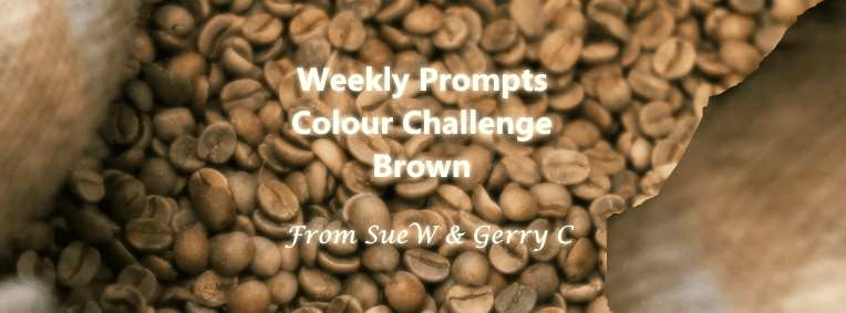2025 Weekly Prompts Colour Challenge – Brown in&nbsp;Nature