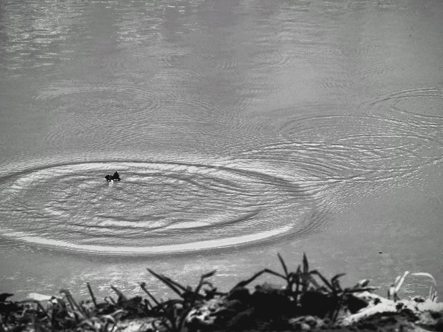Repetitive Rippling Water