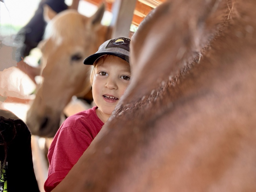 2025 Cell Pic Sunday — 14&nbsp;September