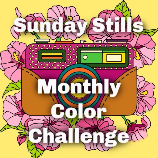 2025 Sunday Stills: Monthly Color Challenge: Brown and&nbsp;Gray