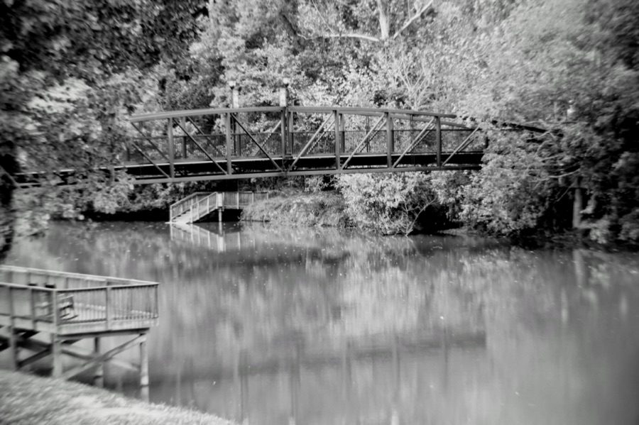 Monochrome Madness — In the Water (Leaves and&nbsp;Reflections