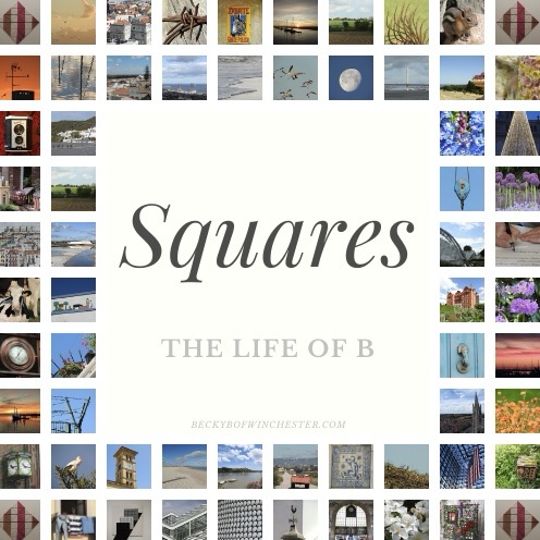 2025 November #Shadows&nbsp;#26