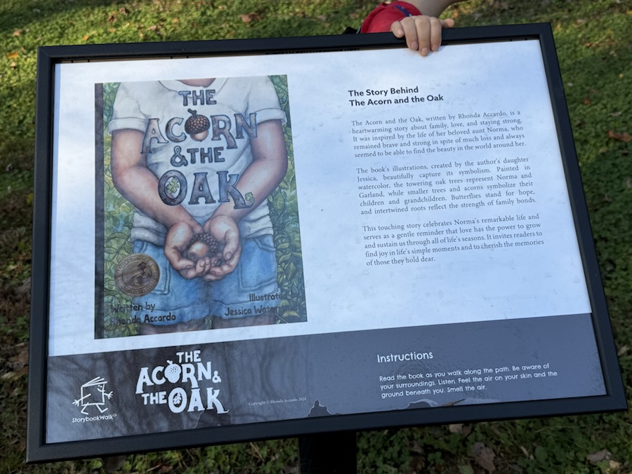 2025 Cell Pic Sunday: 16&nbsp;November