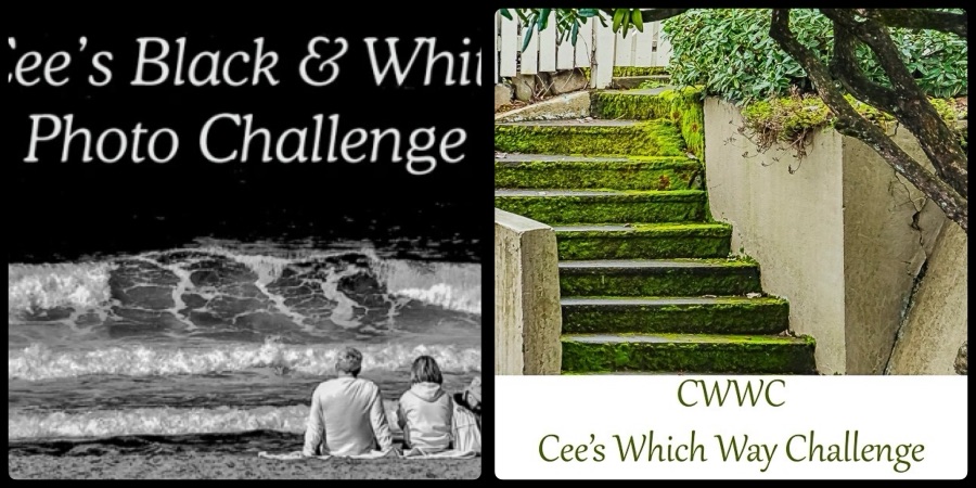 2025 Which Way Challenge (CWWC): Any Which Way in Black and&nbsp;White