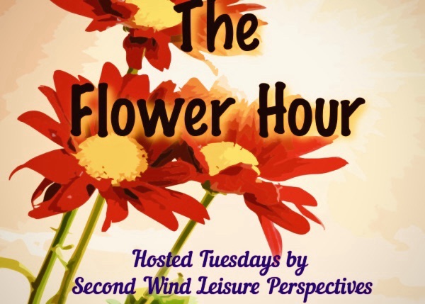 2025 The #Flower Hour #11 — Last Chance Holiday&nbsp;Florals