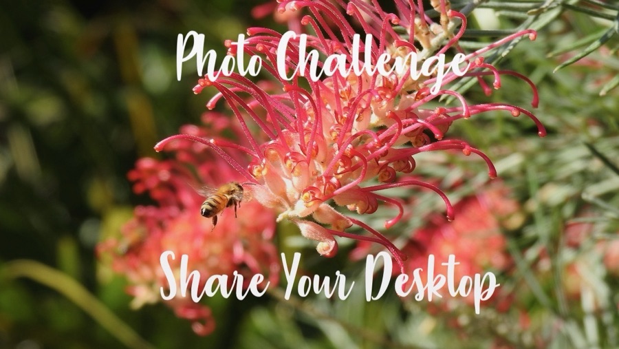 2025 SYD: 15&nbsp;December