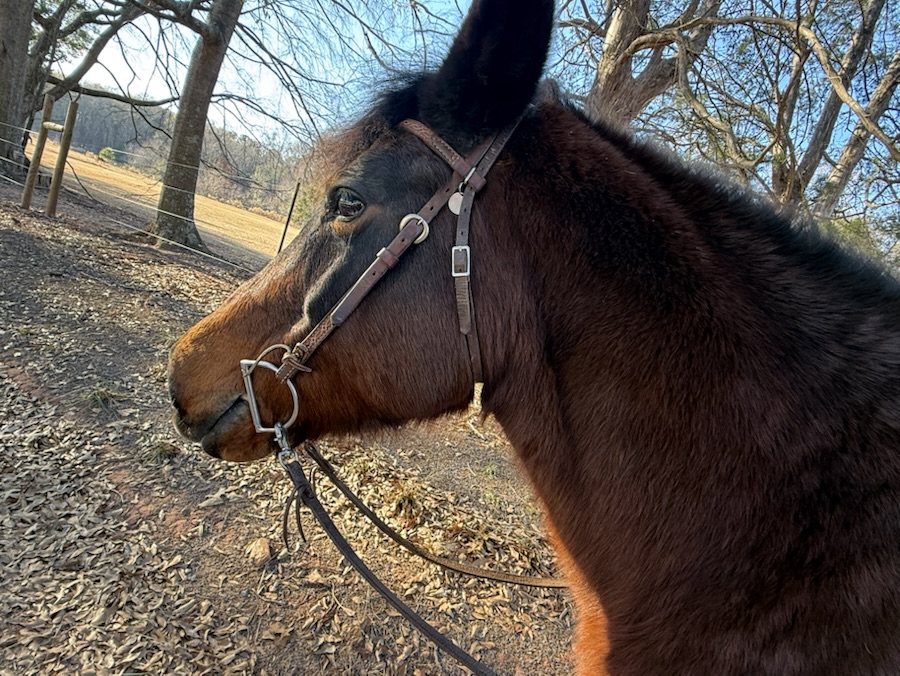 2025 Cell Pic Sunday: 14&nbsp;December