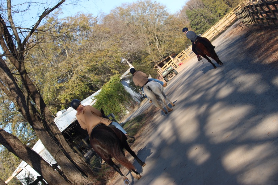 2025 Thursday Trios: 18&nbsp;December