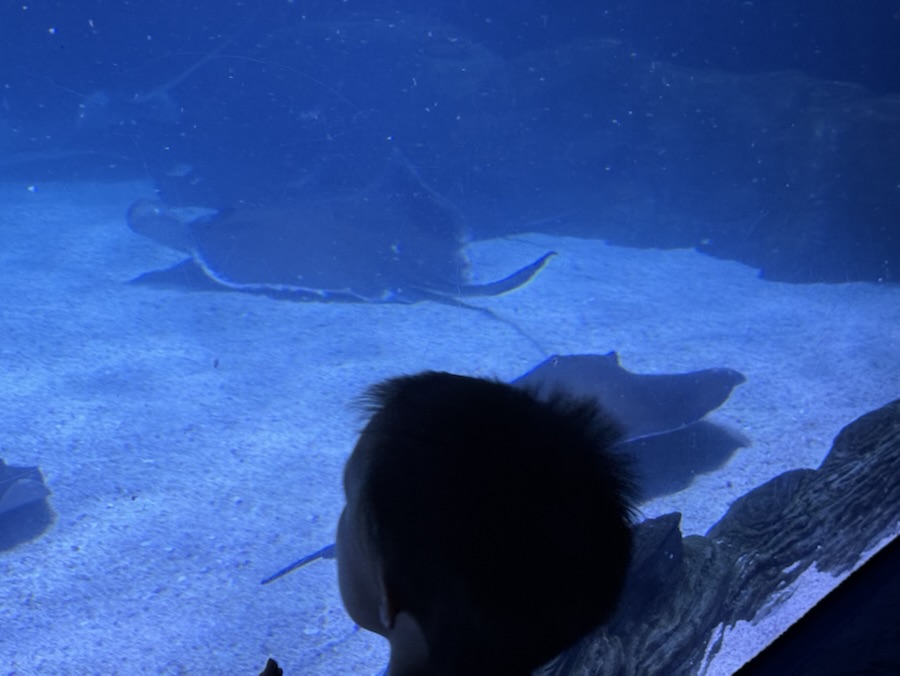 2026 Monday Portrait: 05&nbsp;January