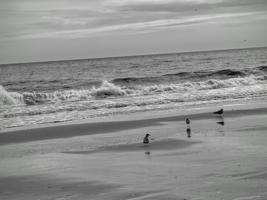 A Peaceful Afternoon (By the&nbsp;Ocean)