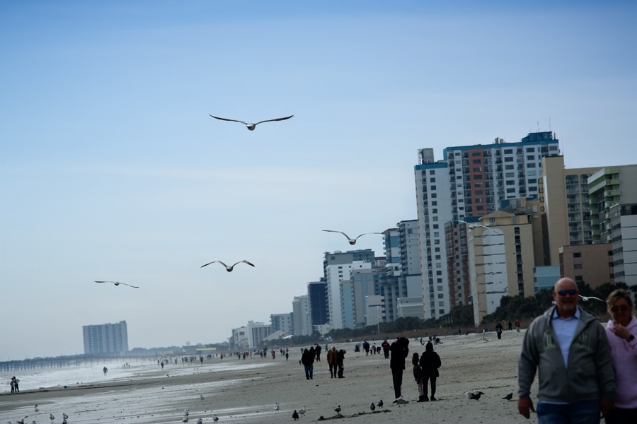 2026 OWS:&nbsp;01.04 — Messy – Crowded, Cluttered&nbsp;Beach