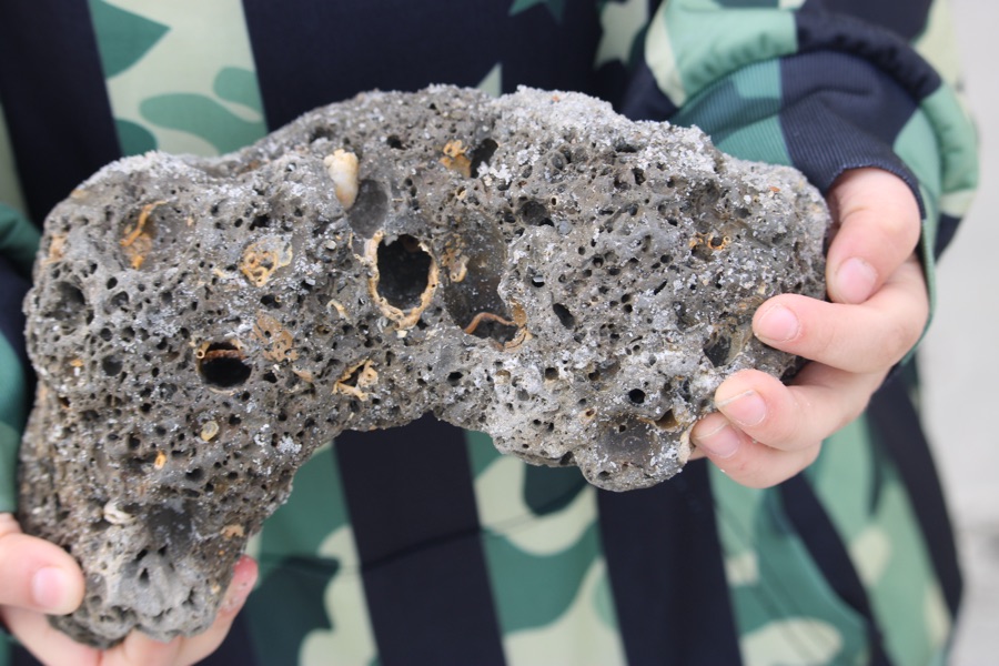 2026 Macro Monday: 12&nbsp;January