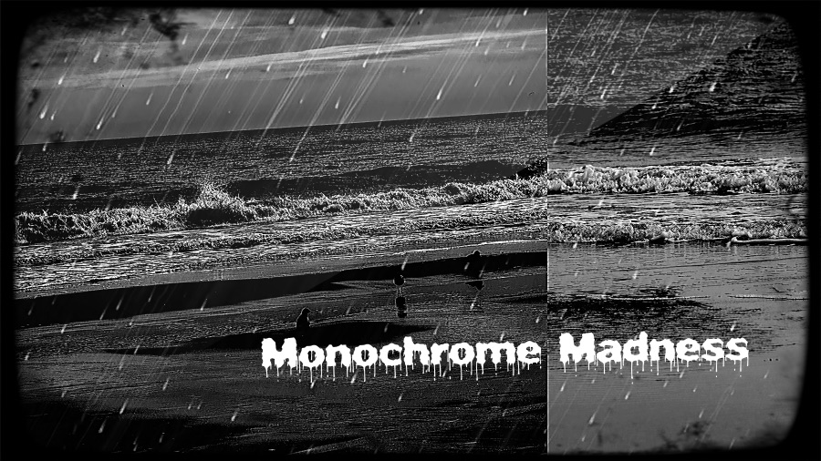 Monochrome Madness —&nbsp;2026.01.22