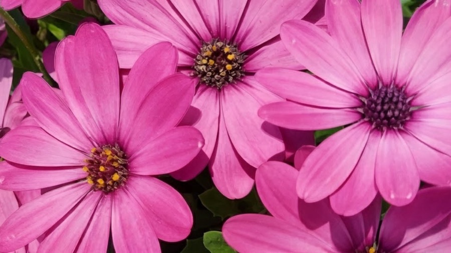 Macro Monday — 02 February&nbsp;2026