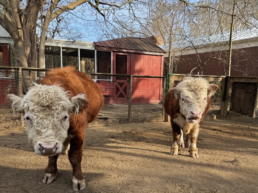 2026 Monday Portrait #8 —23&nbsp;February