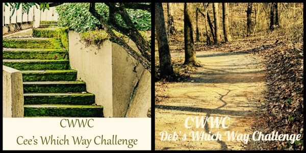 Which Way Challenge 2026 (CWWC): Any Which Way with Signs Part 2 ...
