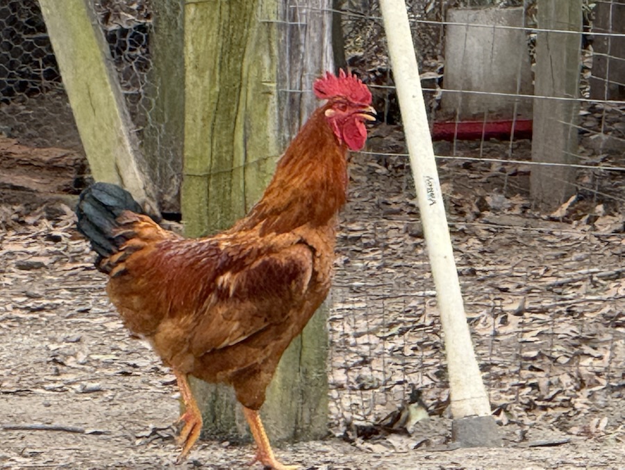 2026 Monday Portrait #10 —09&nbsp;March