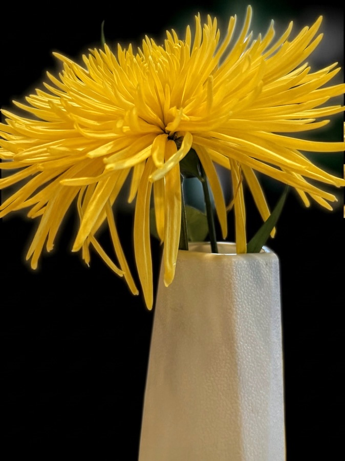 One Word Sunday (#OWS)&nbsp;—2026.04.05